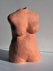 Torso